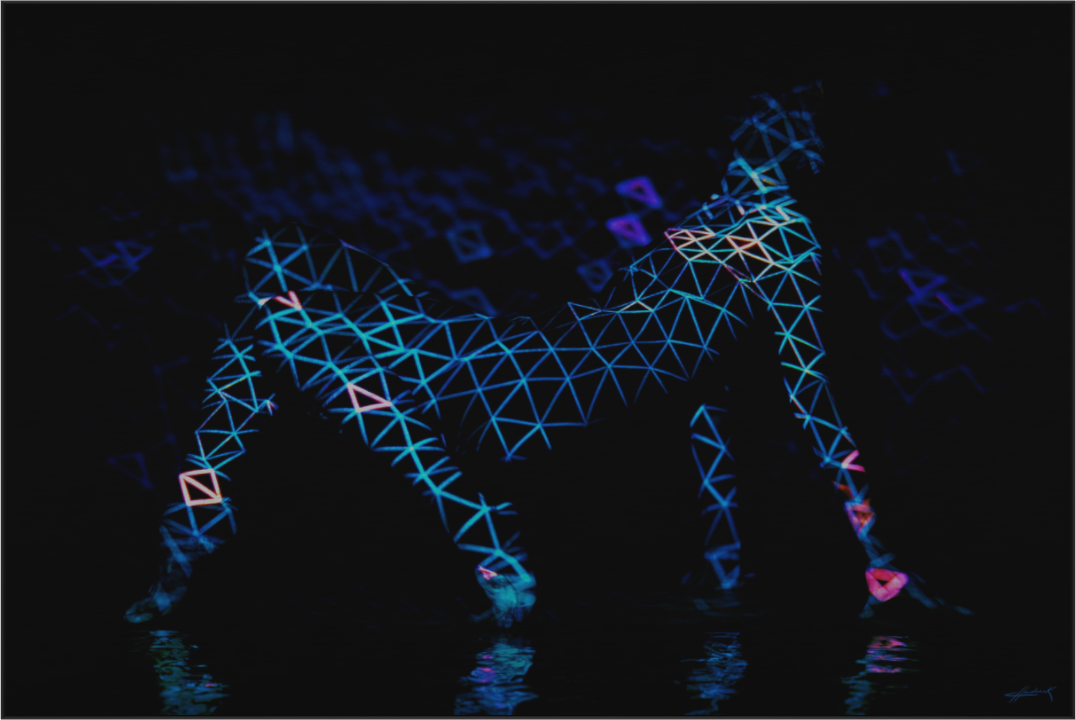 Main image 2.7 Double Exposure Photograph